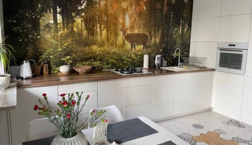 Apartment with Terrace