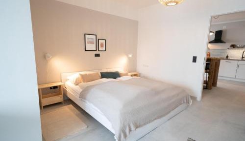 Two-Bedroom Apartment with Shower 