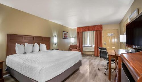 King Room - Non-Smoking