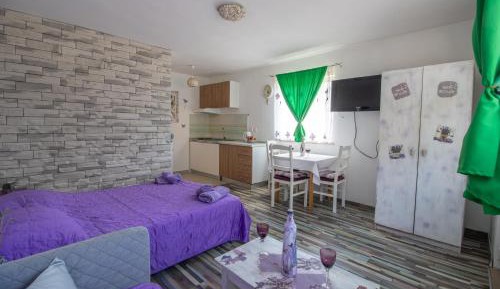 Premium Studio with Terrace