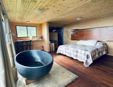 Junior Suite with Terrace