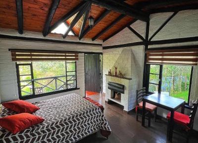 Junior Suite with Terrace