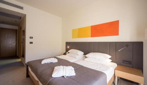 Special offer - Premium Double or Twin Room with Wellness Relax Package