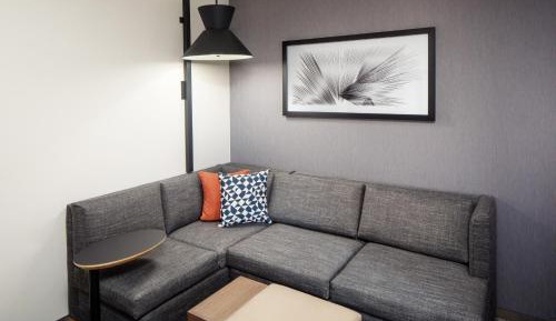 Specialty King Room with Sofa Bed