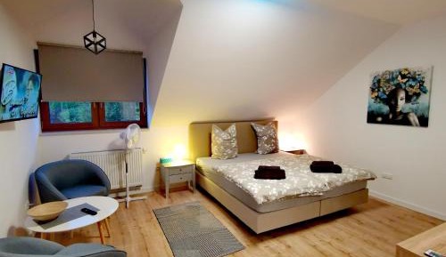 Deluxe Double Room with Shower