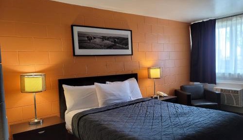 Standard Queen Room - Pet Friendly