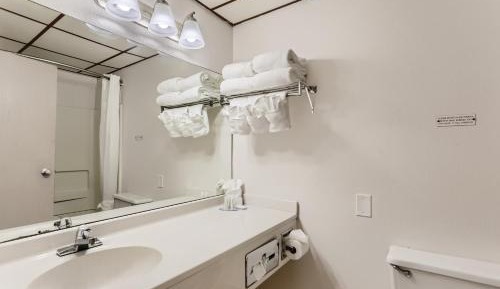 1 Queen Bed, Mobility/Hearing Accessible Room, Roll-In Shower, Non-Smoking