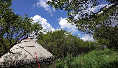 Tent