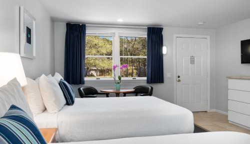 Double Room with Two Double Beds