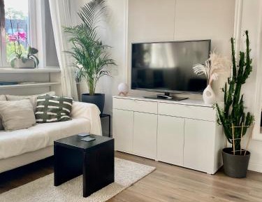 Junior Suite (without kitchen)
