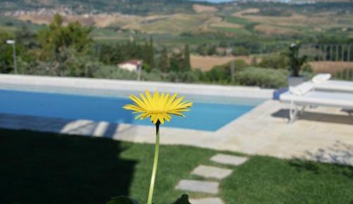Apartment with Terrace & Swimming Pool