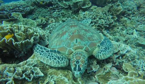 Fantastic Deluxe Double or Twin Room