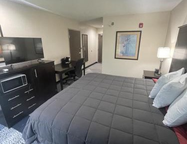 Single Room - Disability Access