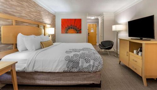 King Room - Non-Smoking