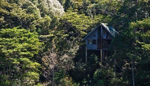 Studio - Treehouse