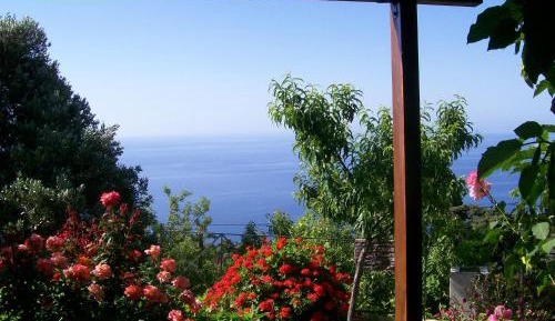 Studio Apartment with Sea View