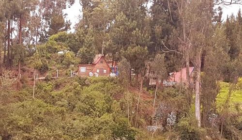 One-Bedroom Vacation Home