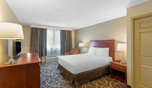 King Room with Roll-In Shower - Pet Friendly/Disability Access