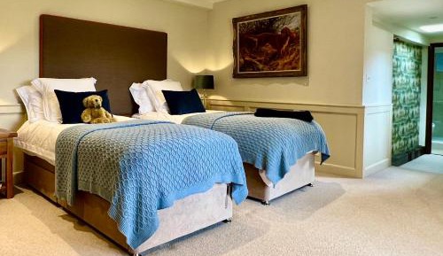 Deluxe Double or Twin Room with Garden View
