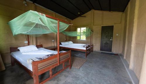 Budget Single Room