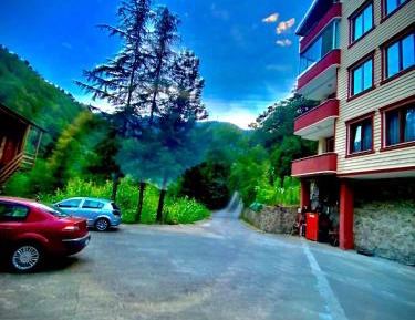 Apartment with Mountain View