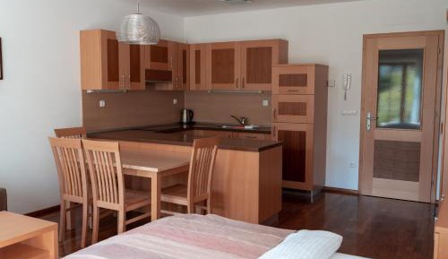 Studio Apartment with Terrace