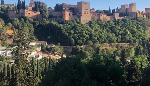 King Room with Mountain View