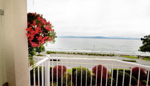 One Queen with Kitchenette OCEAN VIEW and PRIVATE BALCONY