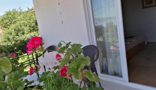 Studio with Terrace