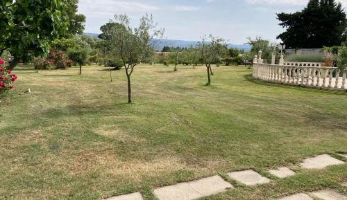 Double Room with Extra Bed