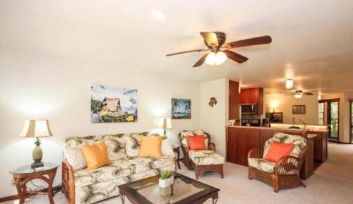 One Bedroom Apartment