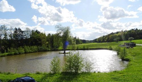 Double Room with Lake View