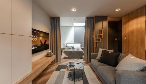 Superior Apartment