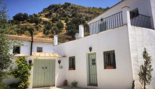 Junior Suite with Terrace