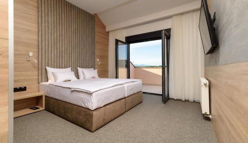 Deluxe Double or Twin Room with Balcony