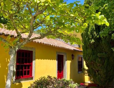 One-Bedroom Apartment with Twin Bed