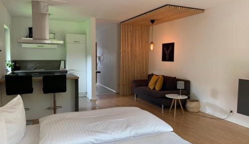 One-Bedroom Apartment with Balcony