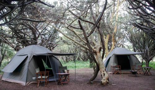 Tent