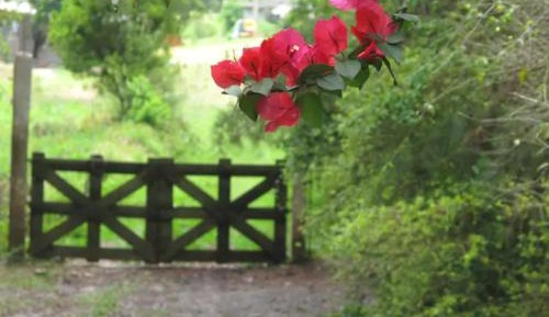 Villa with Garden View