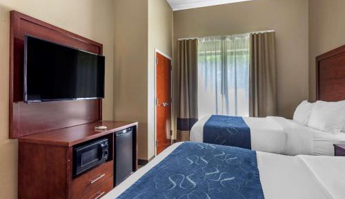 Standard Suite