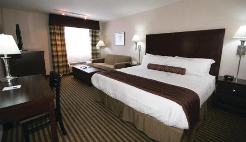 Executive Queen Room
