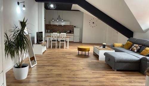 Superior Studio
