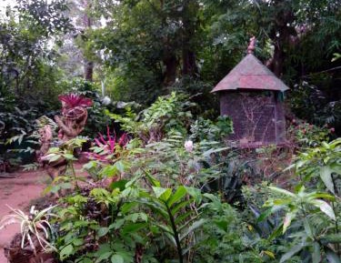 Cottage with Garden View
