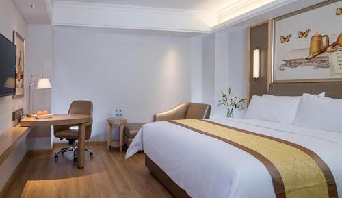 Standard Singe Room