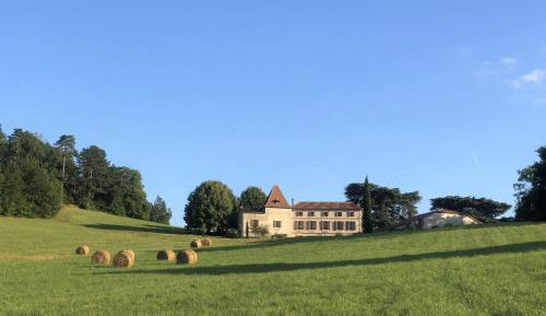 King Room with Garden View
