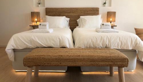 Deluxe Double or Twin Room with River View