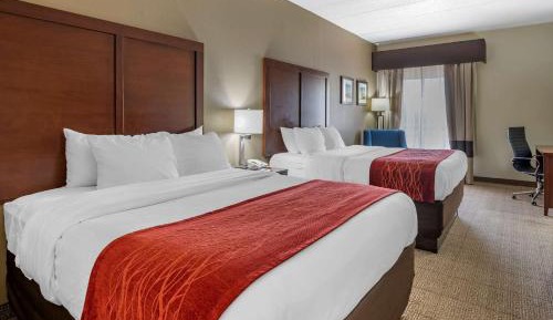 Standard Queen Room with Two Queen Beds - Non-Smoking