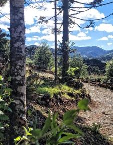 Chalet with Valley View