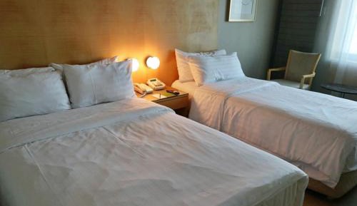 Family Twin Room