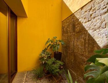 Apartment with Garden View